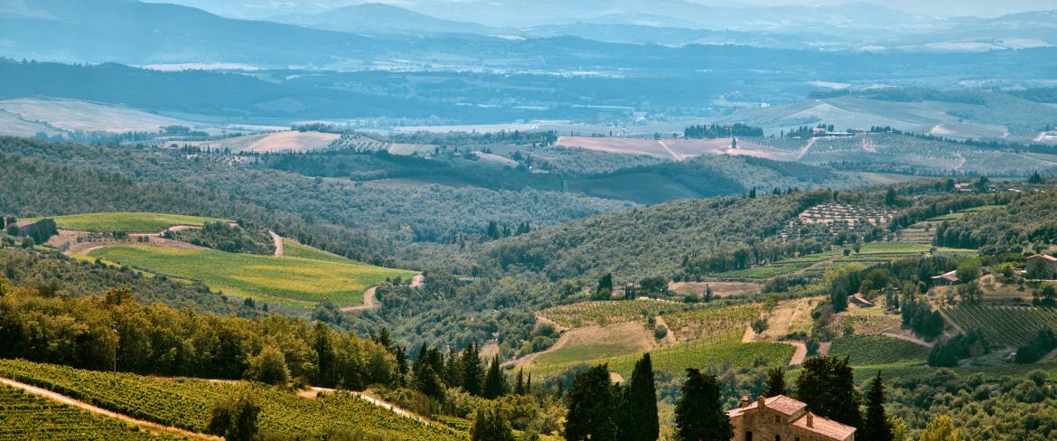 Vista del paesaggio di Rapolano