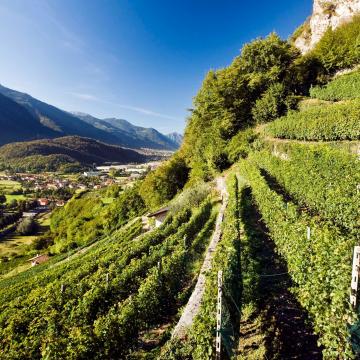 landscape of Valle Camonica