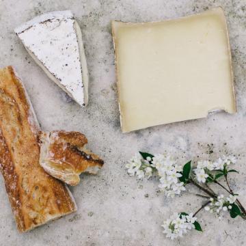 cheeses from Camonica Valley