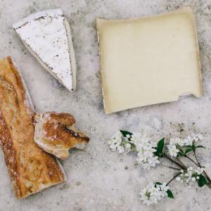 cheeses from Camonica Valley