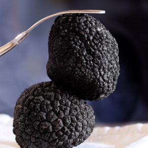 black truffle of Montefeltro