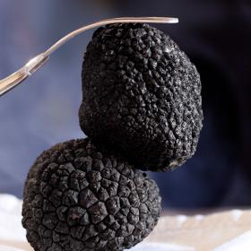 black truffle of Montefeltro