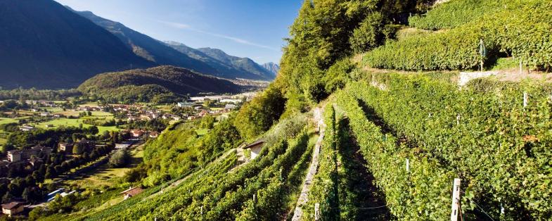 landscape of Valle Camonica