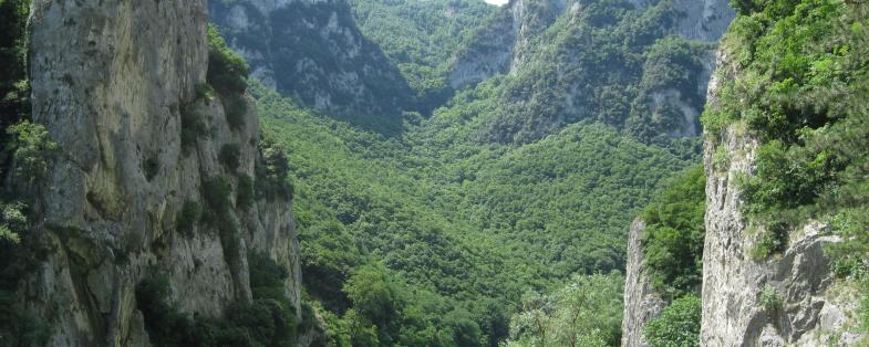 View of the Gola del Furlo